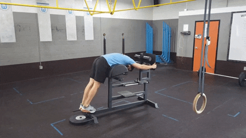Ham & Glute Machine