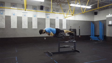 Ham & Glute Machine