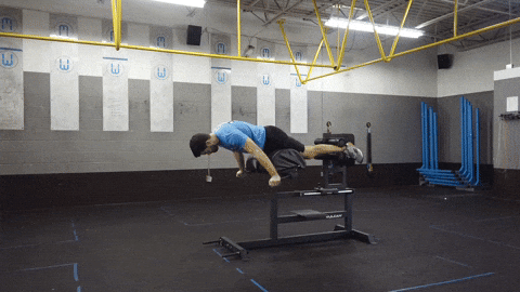 Ham & Glute Machine